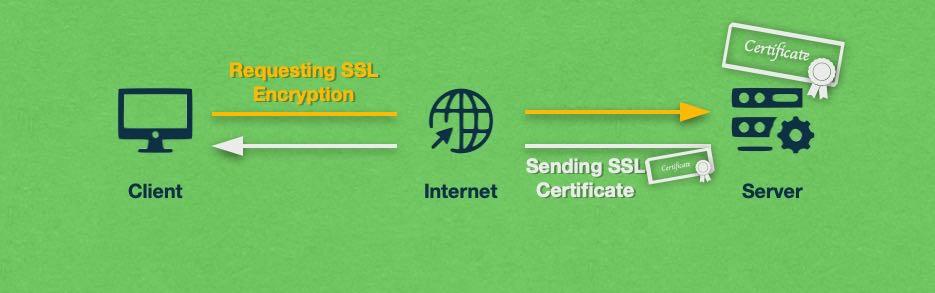 Testing Your Renewed SSL Certificate for Security and functionality