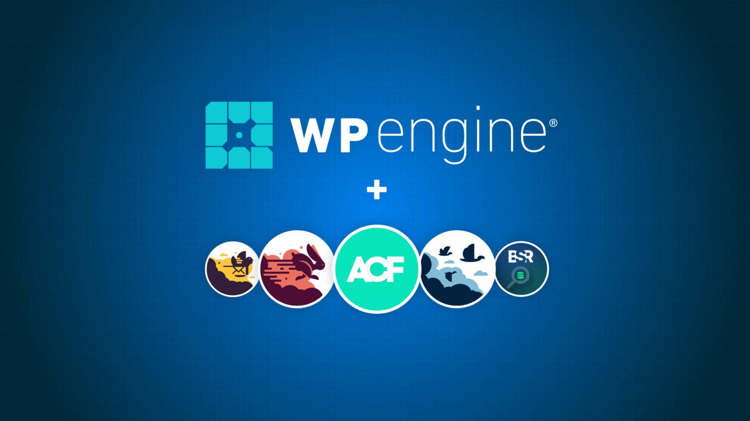 Comparing WP Engine with Competitors