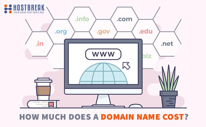 Domain Name Expenses: Finding the Perfect Address