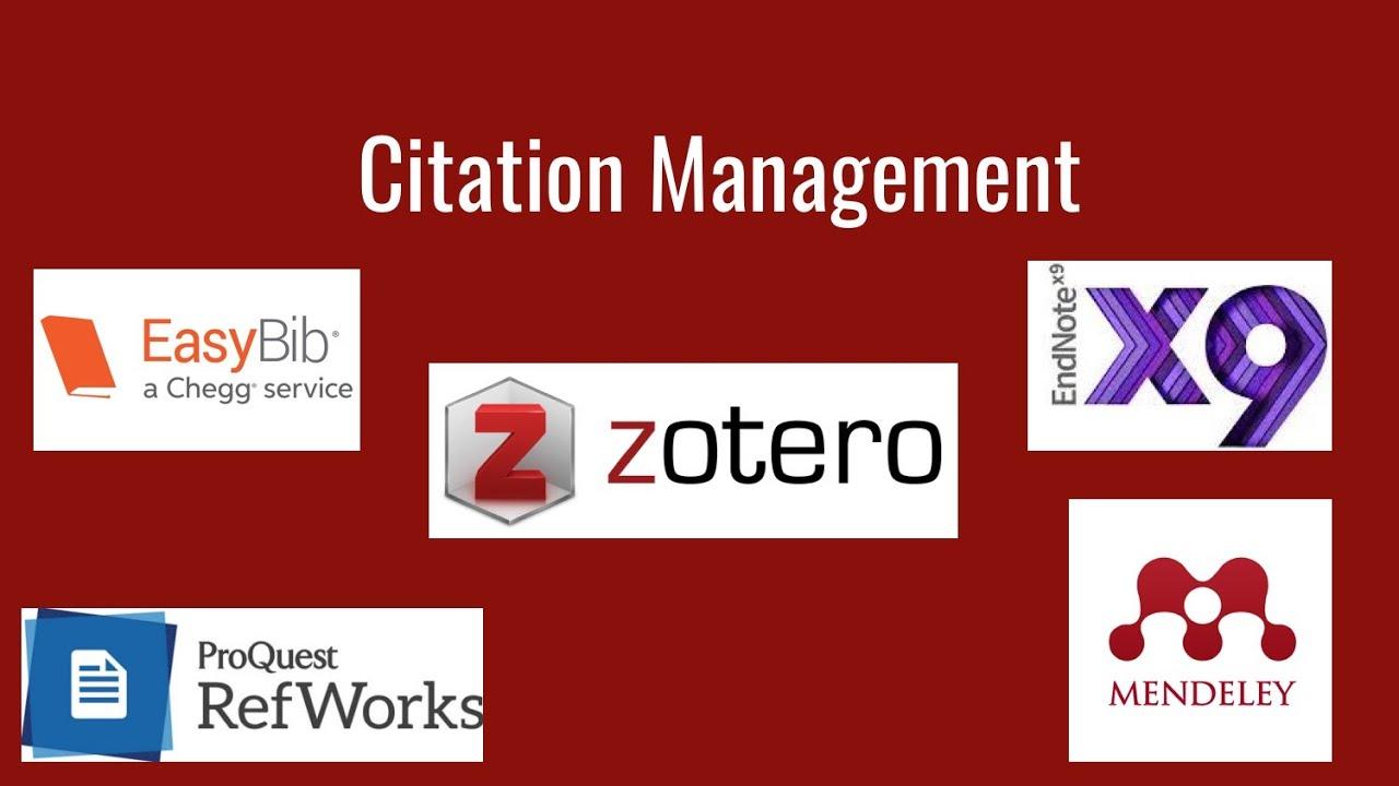 The Role of citation Management ‍in Local SEO Success