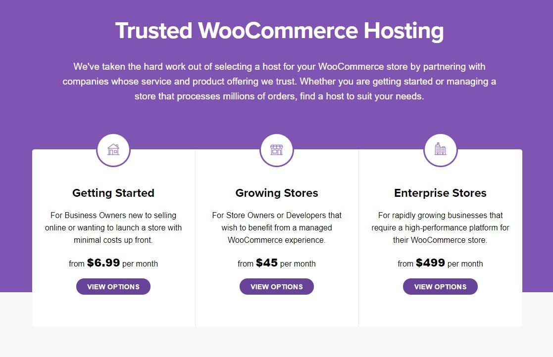 Final Thoughts: Making Smart Financial ​Decisions for Your ⁣WooCommerce Business