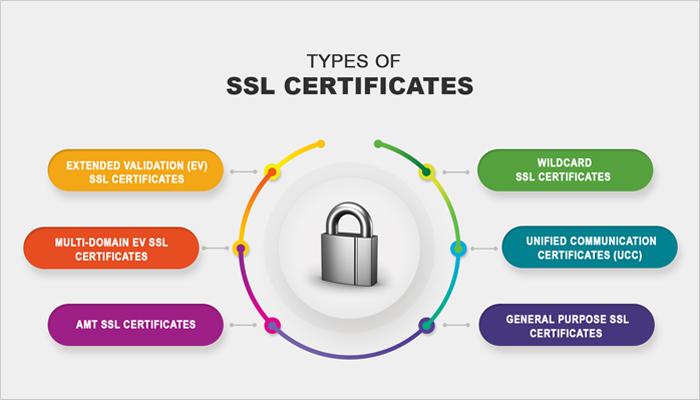 Step One: Checking Your Current SSL Certificate Details