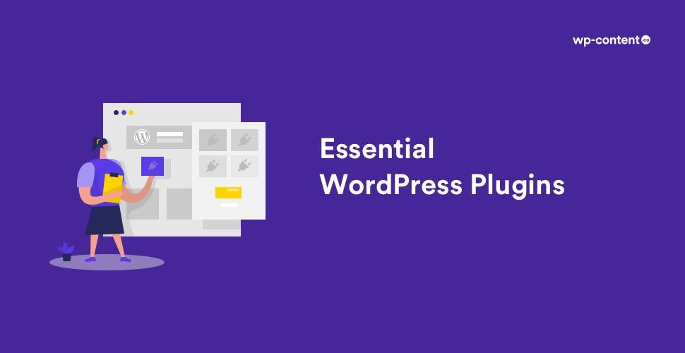 Essential Plugins: Evaluating Their Value and Cost