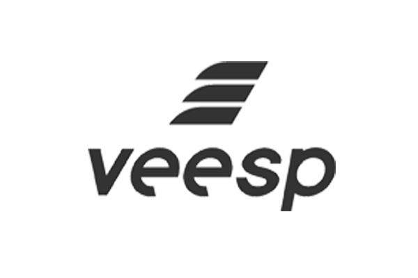 User Experience: setting Up and Managing Your Veesp Account