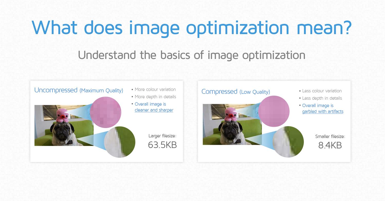 Real-Life Results: Success Stories from Optimizing Images