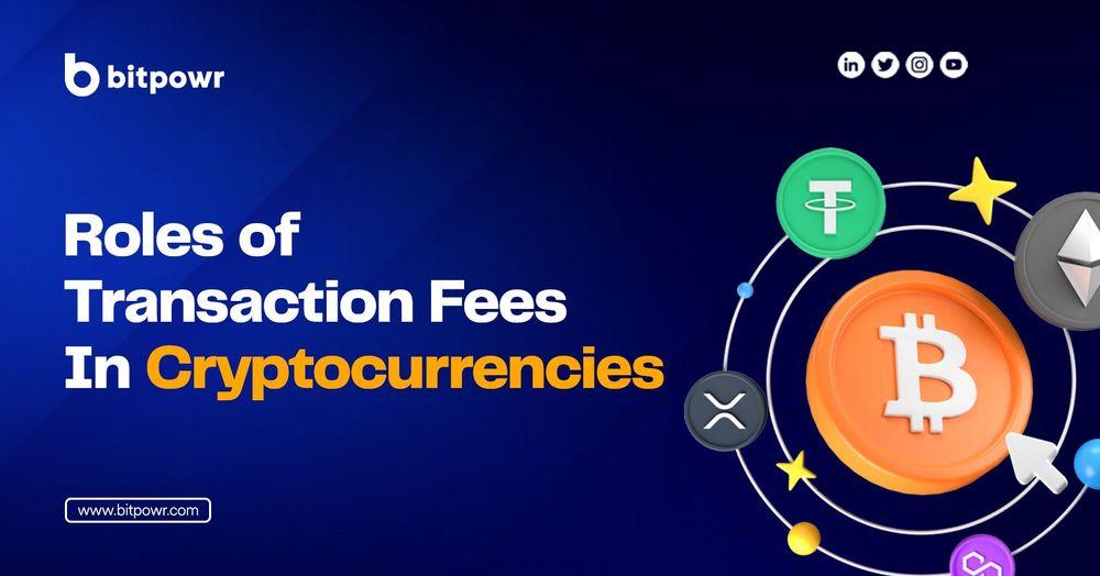 How Transaction Fees Can Affect Your bottom Line