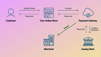 Key Features to Look for in a Payment Gateway