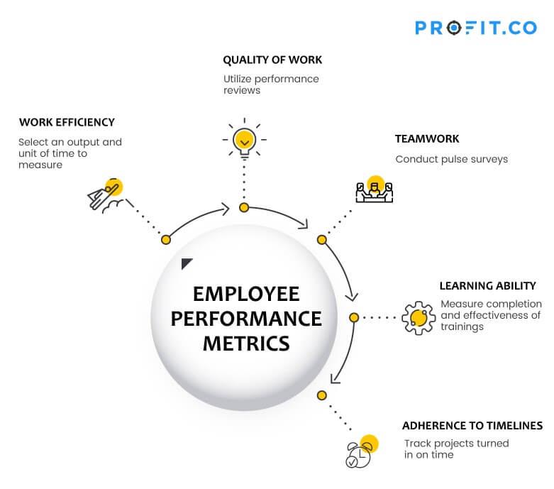 Analyzing Performance Metrics to Drive Continuous Improvement