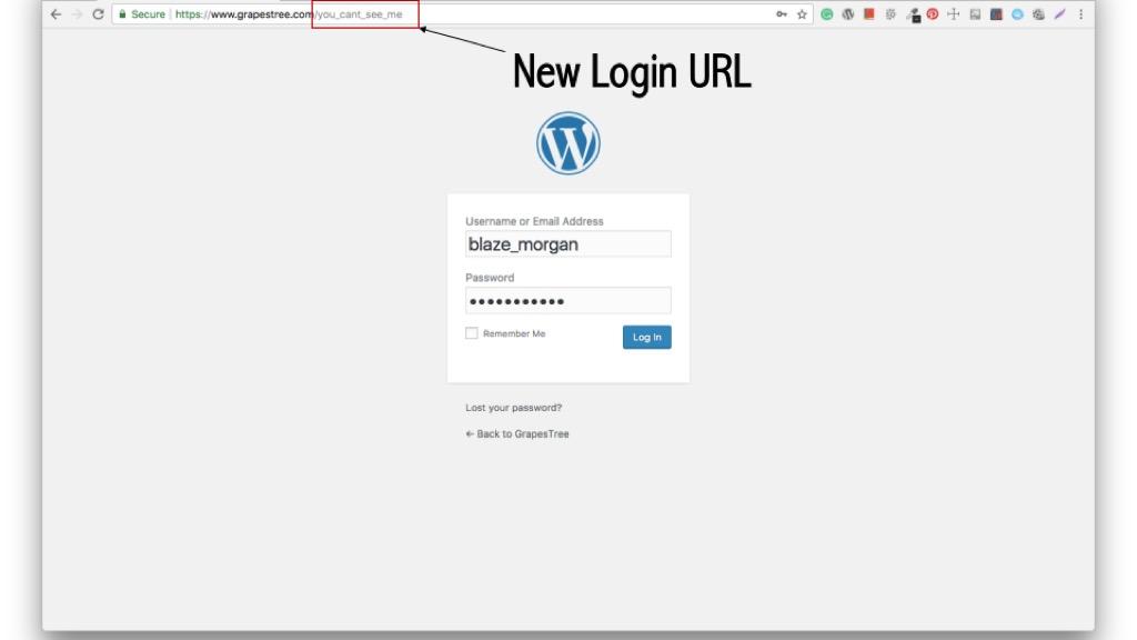 Exploring Common Methods for Changing Your Login URL