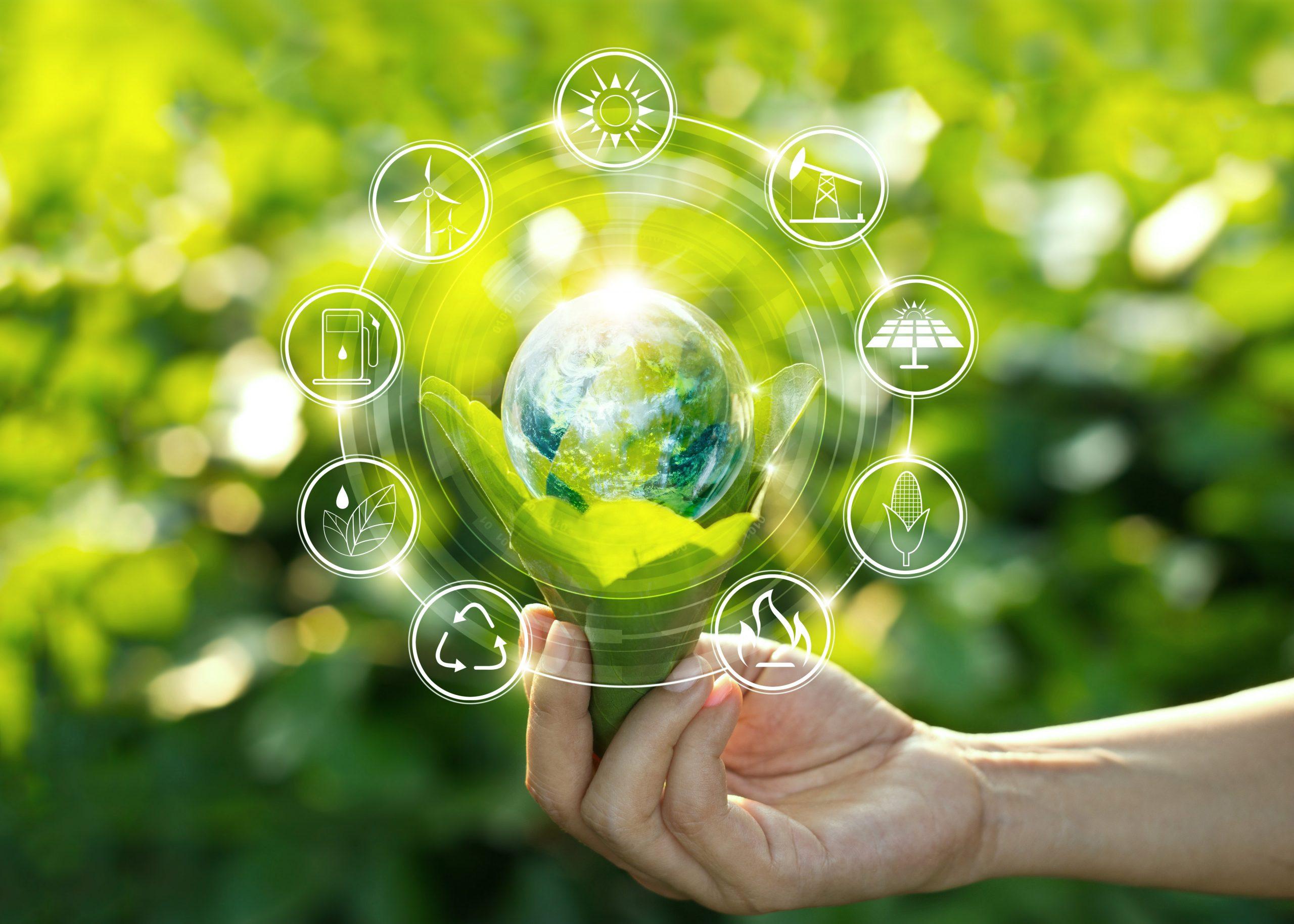 The Importance ‌of Sustainability ‍in‍ B2B‌ Buying Decisions