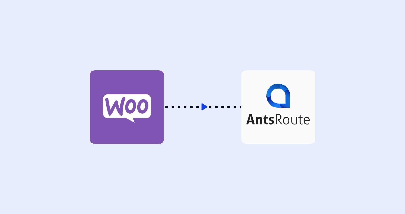 Integrating WooCommerce: A seamless Shopping Experience