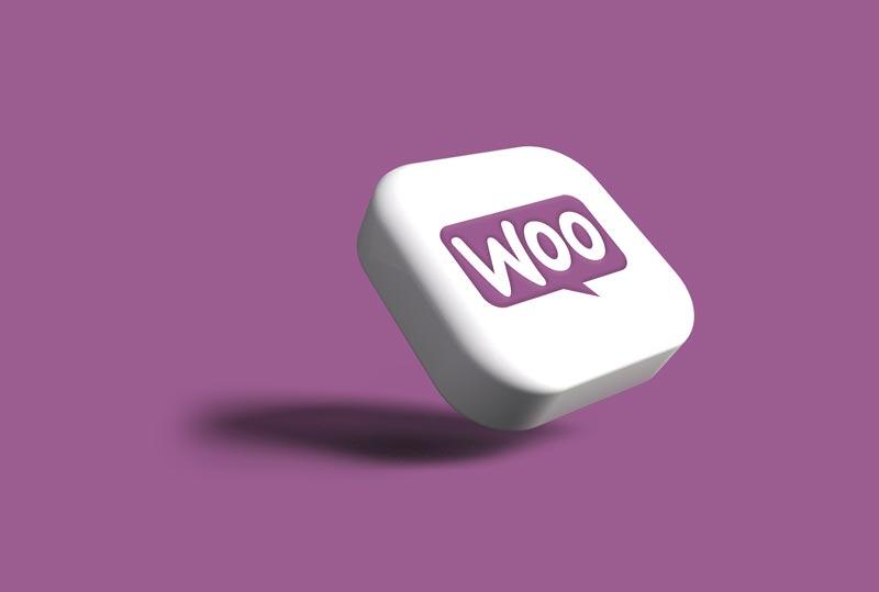 understanding the Importance of Choosing the Right WooCommerce Hosting