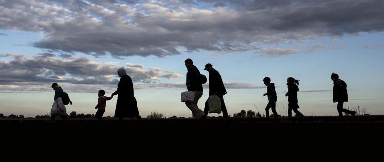 Understanding the Need for Migration from Tutor LMS to LearnPress
