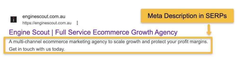 Understanding the Importance of Meta descriptions