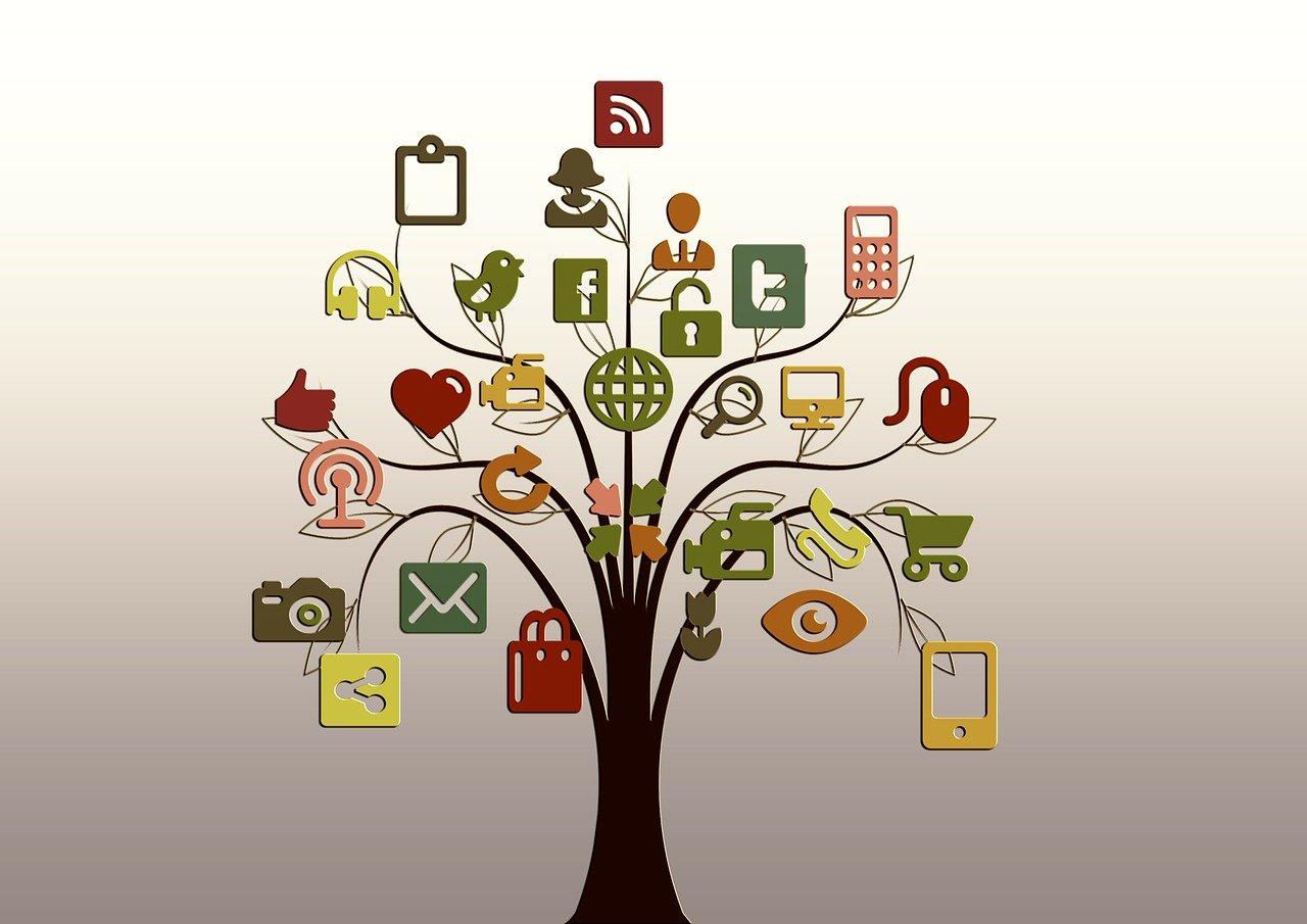 Understanding the Basics of Website Structures for Effective Data Scraping
