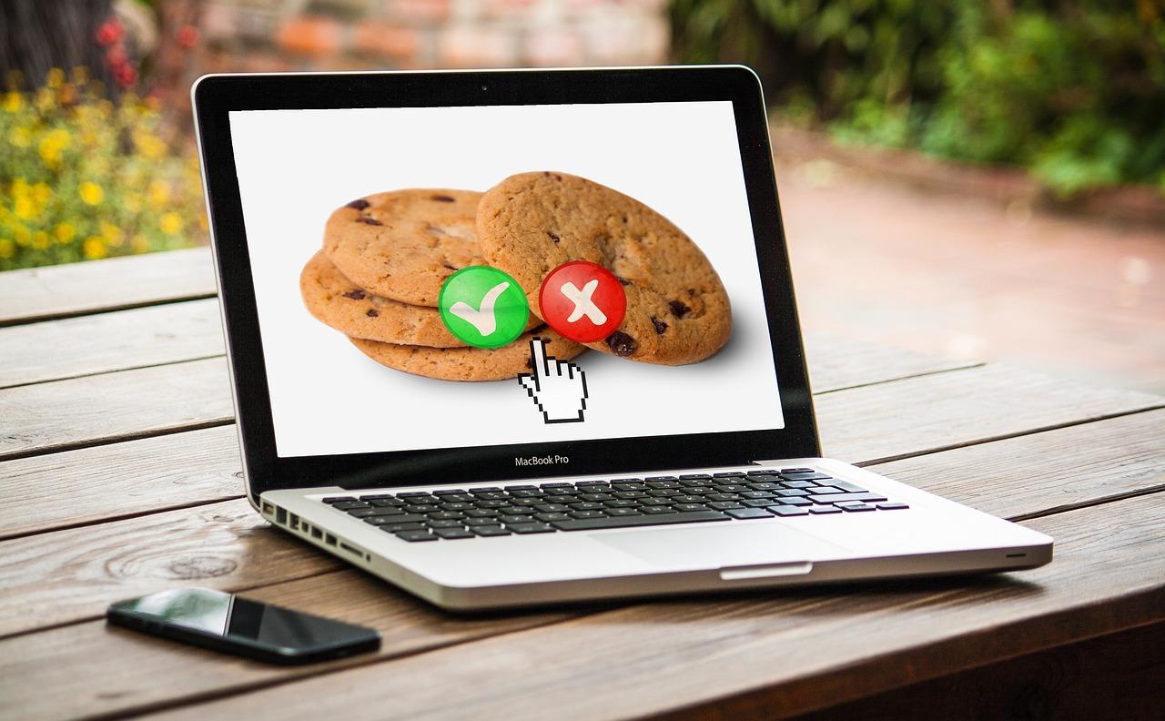 Final Thoughts: Making an Informed Decision for Your Website