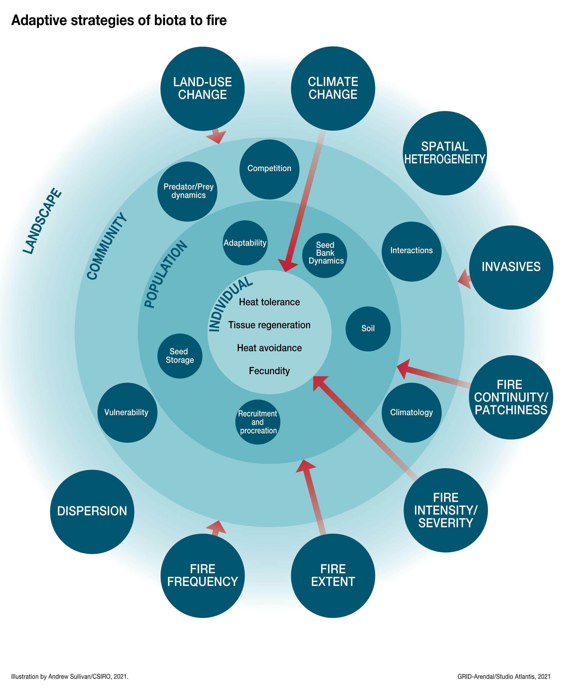 Future-Proofing Your Blog with adaptive Strategies
