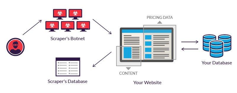 Best Practices for Respecting Website Policies While Scraping