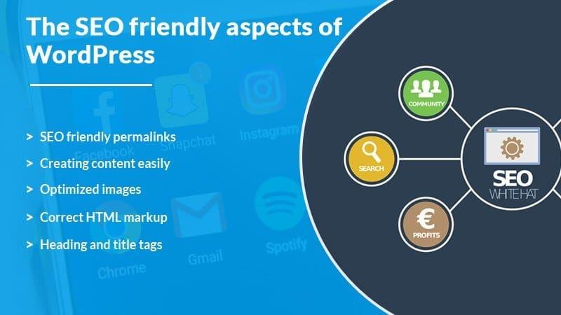 Assessing SEO Features and Online Visibility