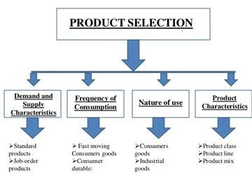 Mastering Product Selection: What to Sell for Maximum Profit