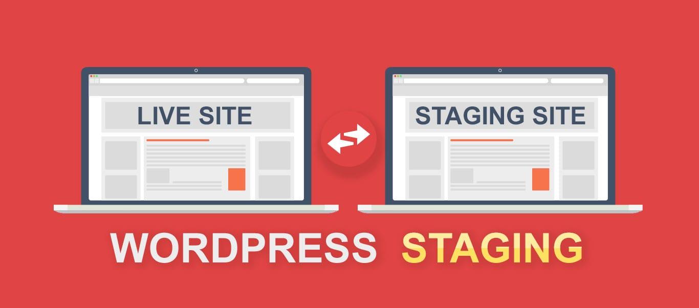 Troubleshooting Common Issues on Your Staging Site