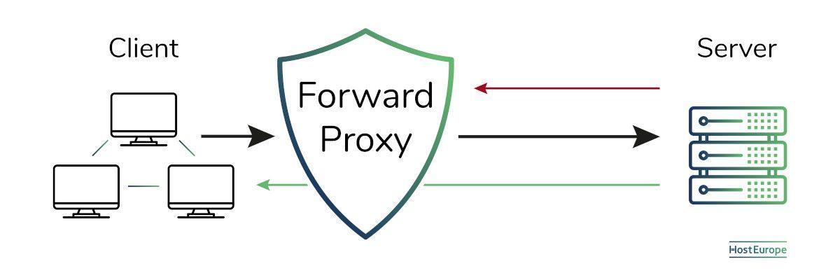 Final Thoughts: finding the Perfect Proxy for Your Goals