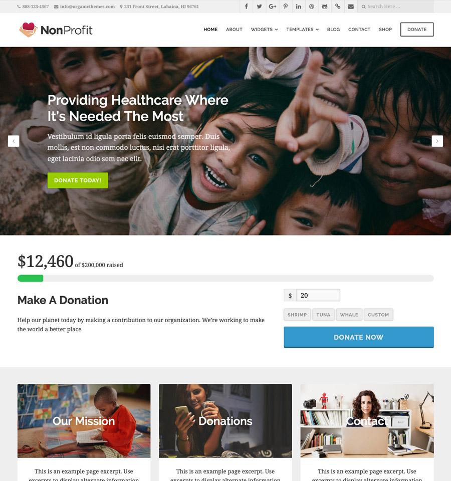 how to Enhance User Engagement with the Best Non Profit Themes