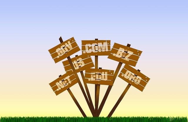Understanding the Basics of Website URLs