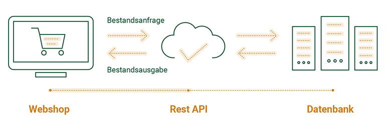 How to re-Enable the REST API If Needed