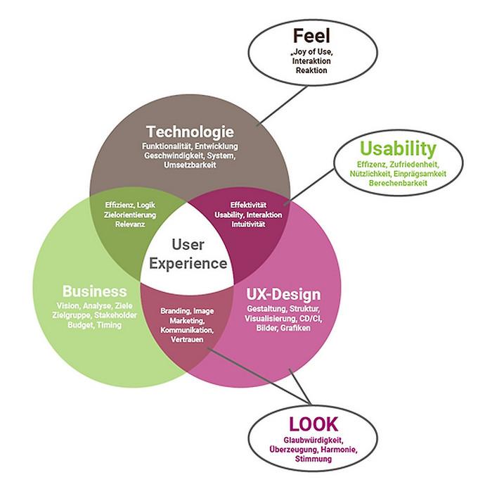 User experience: Navigating the Dashboard