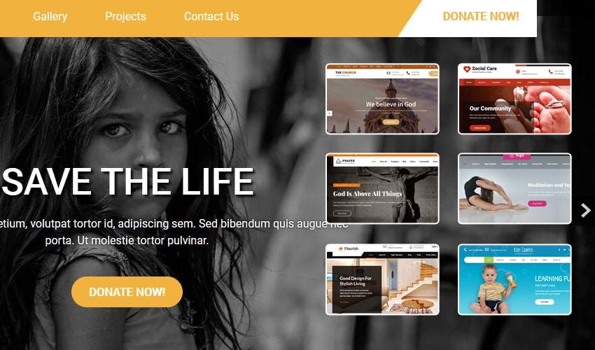 Our Top Picks for Versatile Non Profit WordPress Themes