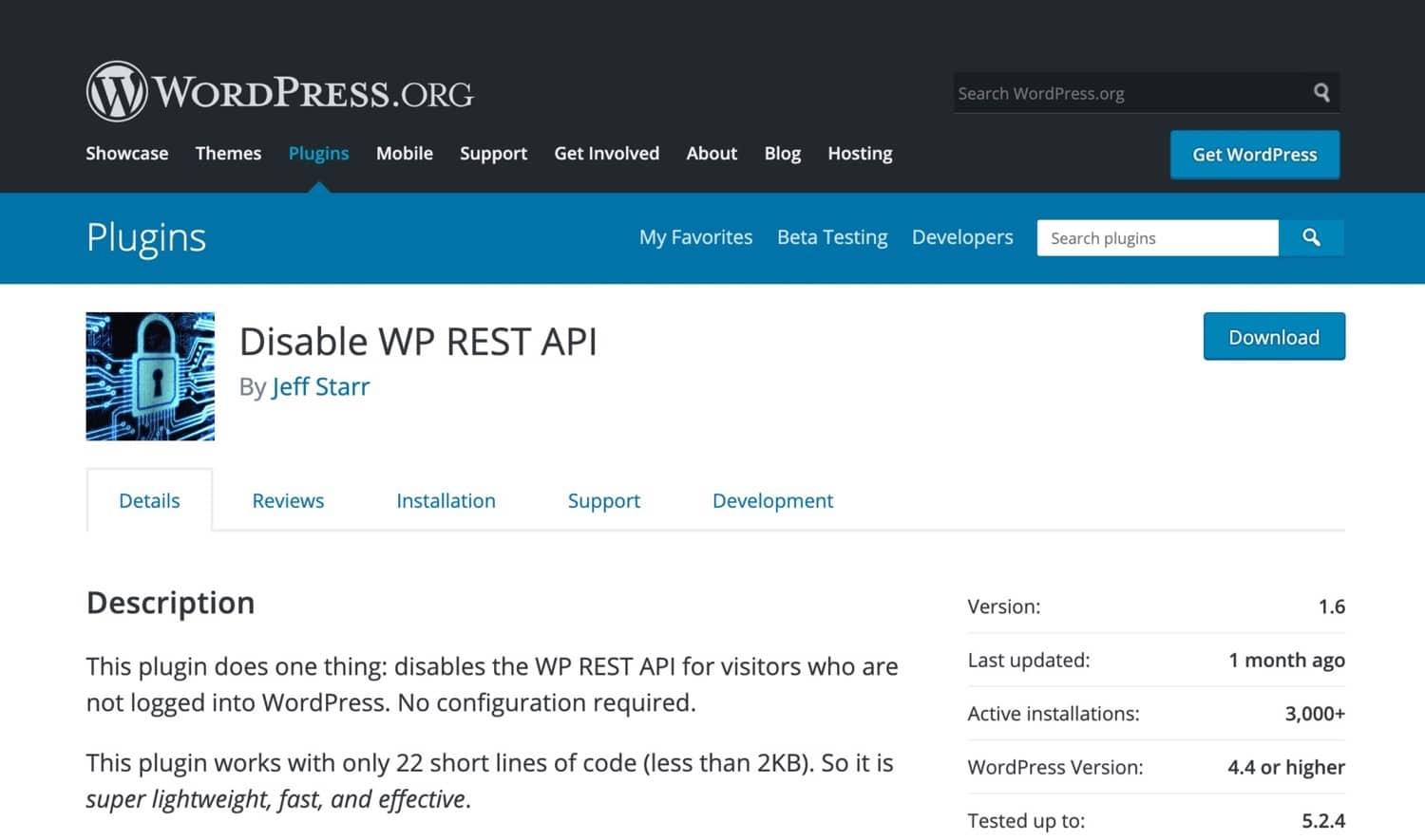 understanding the WordPress REST API and Its Implications