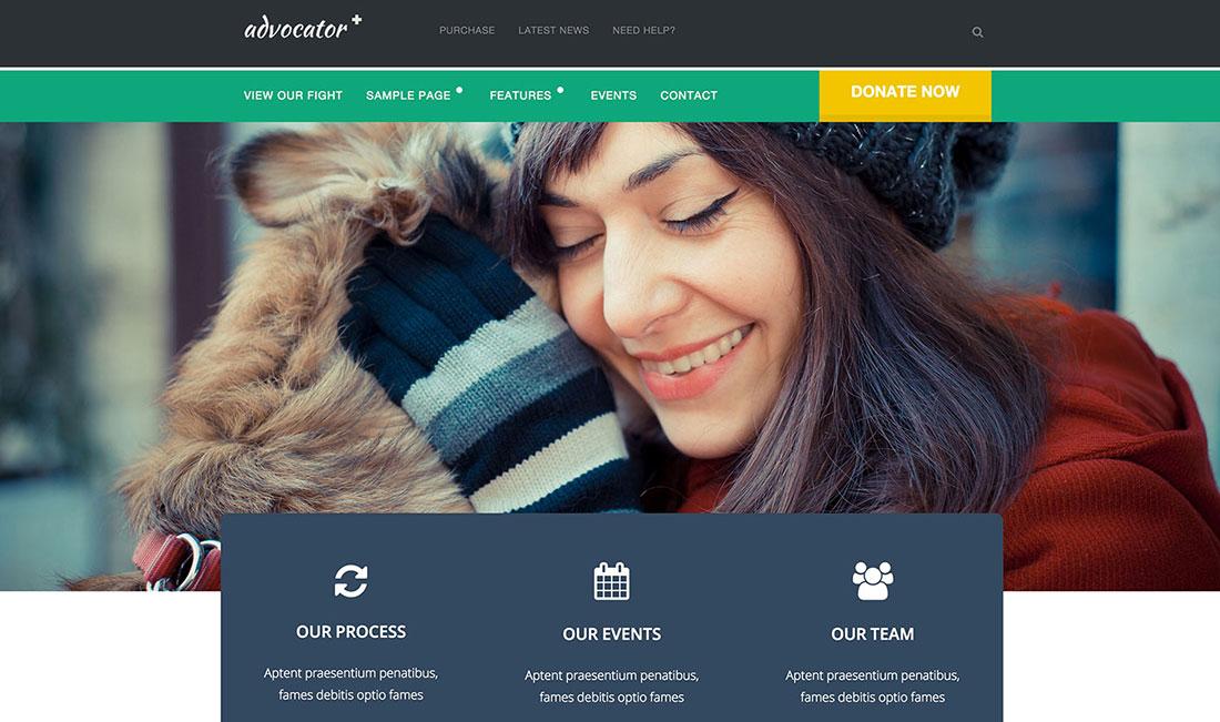 Why Choosing the Right Theme Matters for your Non Profit Organization