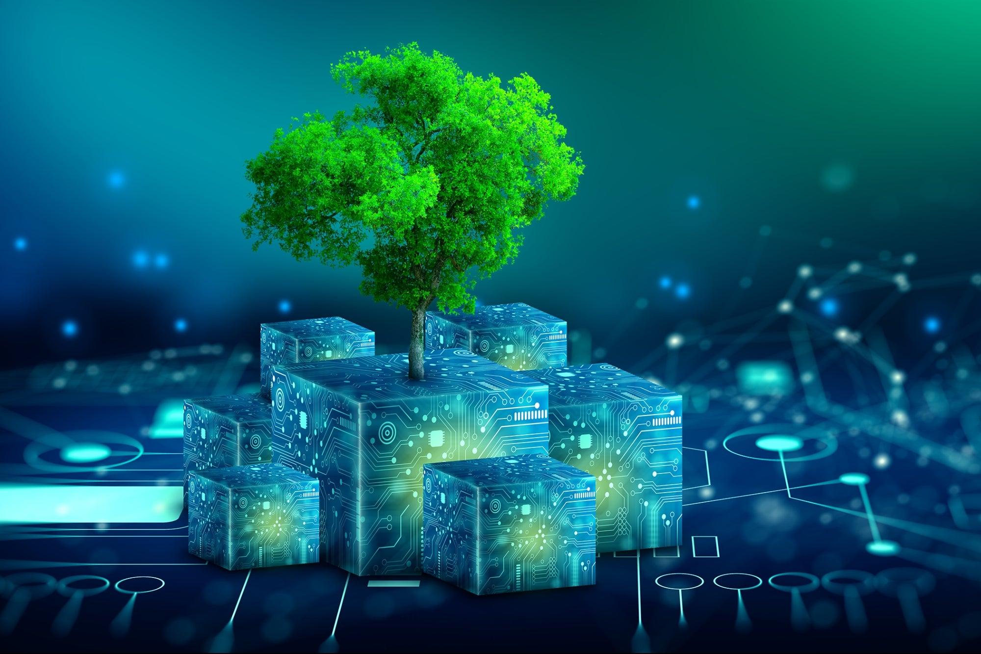 Best Green Hosting Options for Sustainable Ecommerce
