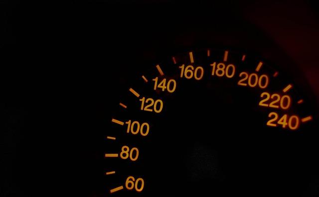 Performance Metrics: Speed and Uptime Insights