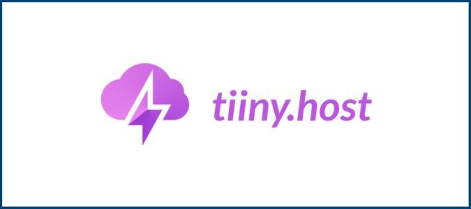 Ideal Use Cases: Who Should Consider Tiiny Host