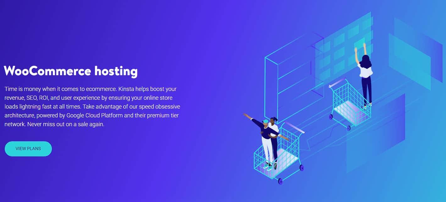 Choosing the Right Ecommerce hosting Provider for Your business Needs