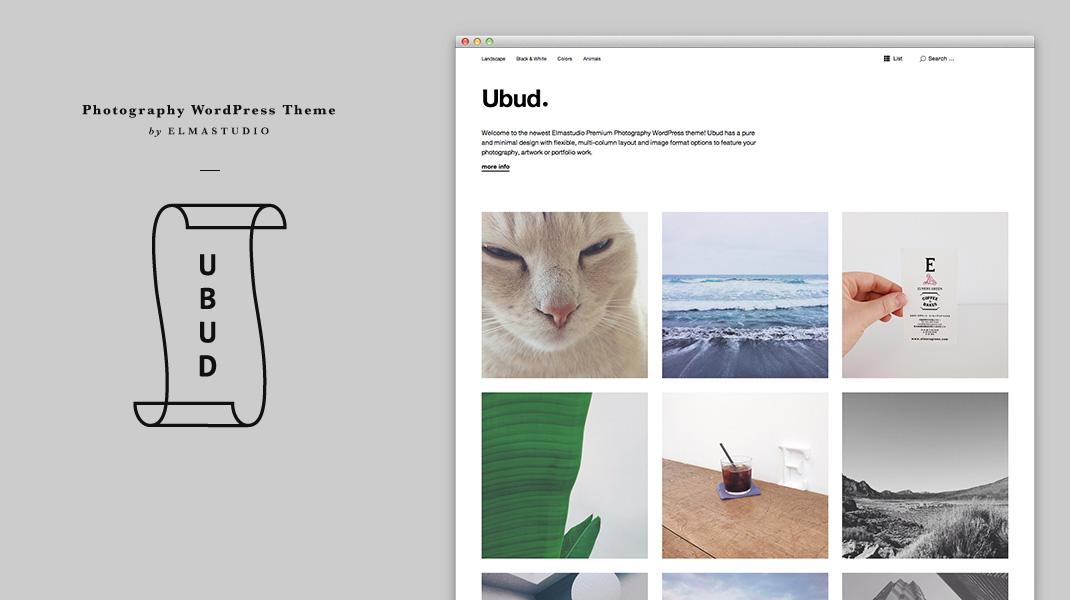 Choosing the Right WordPress Theme Can Transform Your Online Education