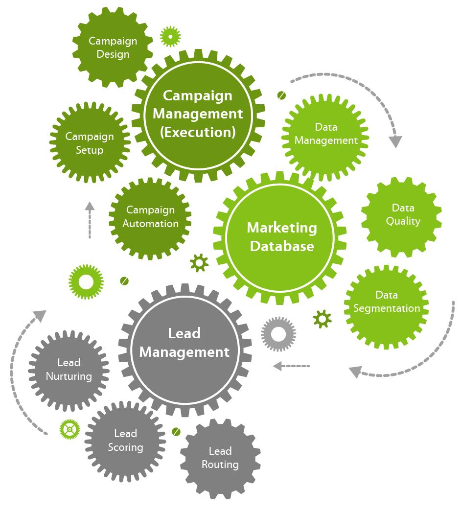 Getting Started with Your Chosen marketing Automation Tool