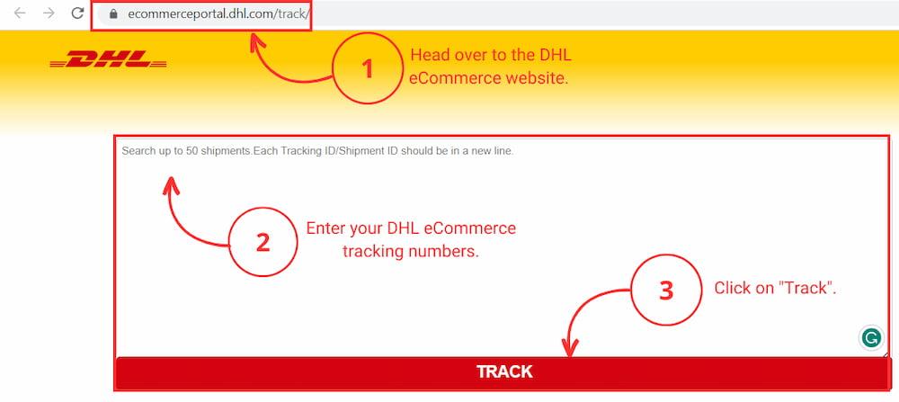 The Future of eCommerce Tracking: Trends to Watch
