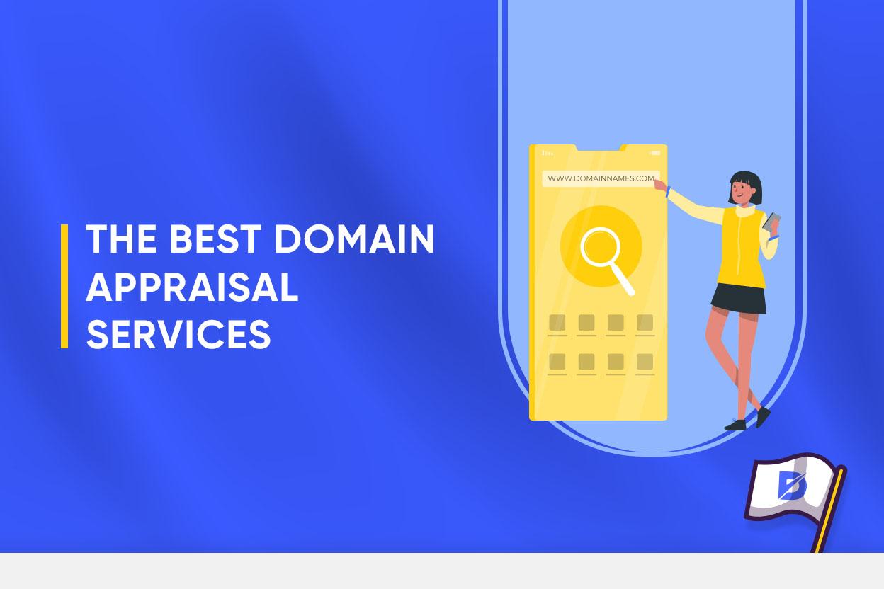 Making the Most of Your Domain Appraisal Results