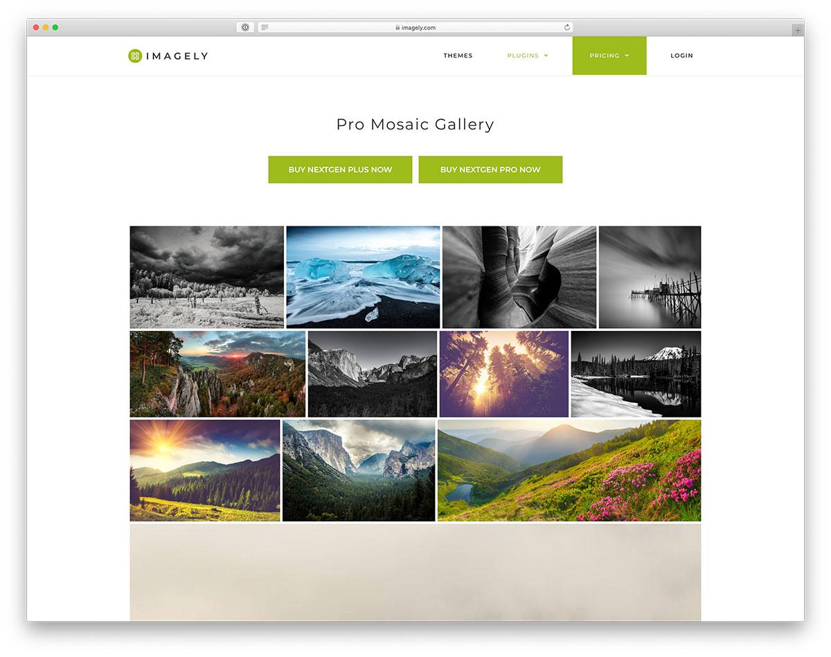 Enhancing​ Your gallery with Plugins and Add-ons