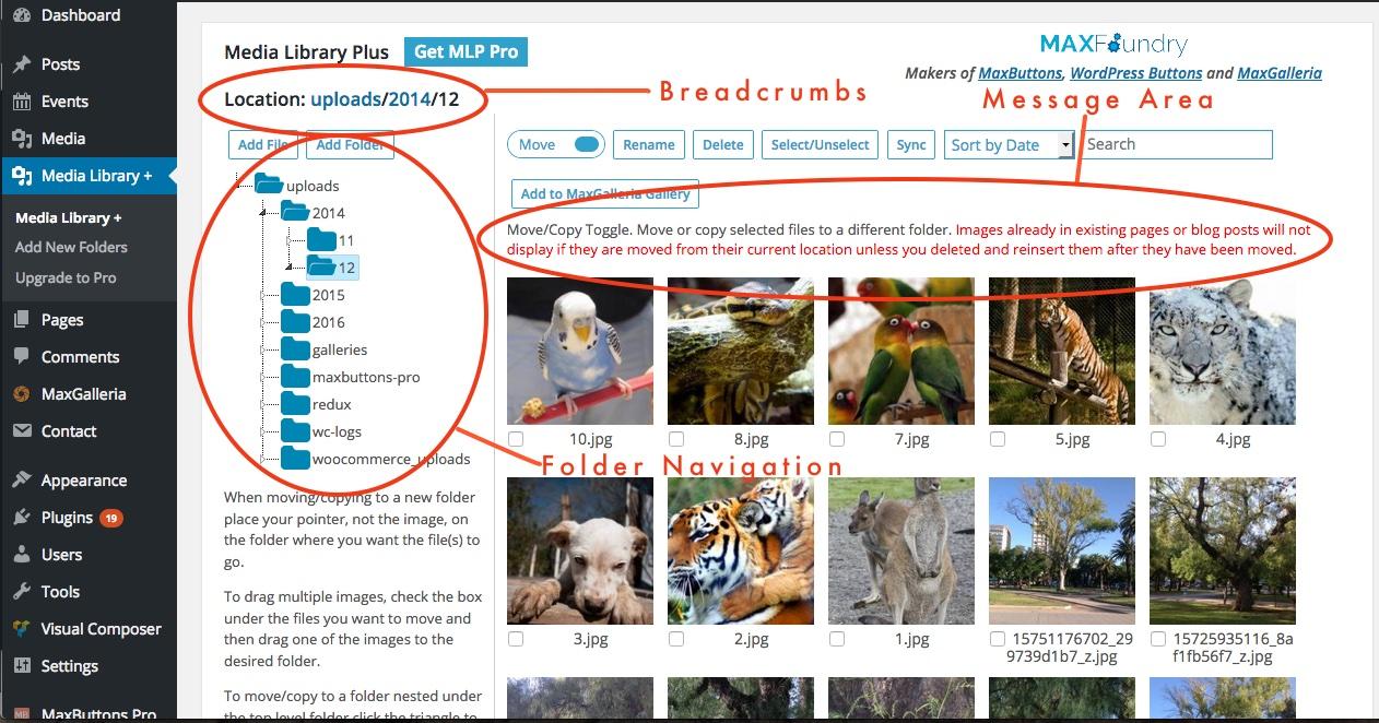 Key Features to Look For in WordPress Media Library Plugins