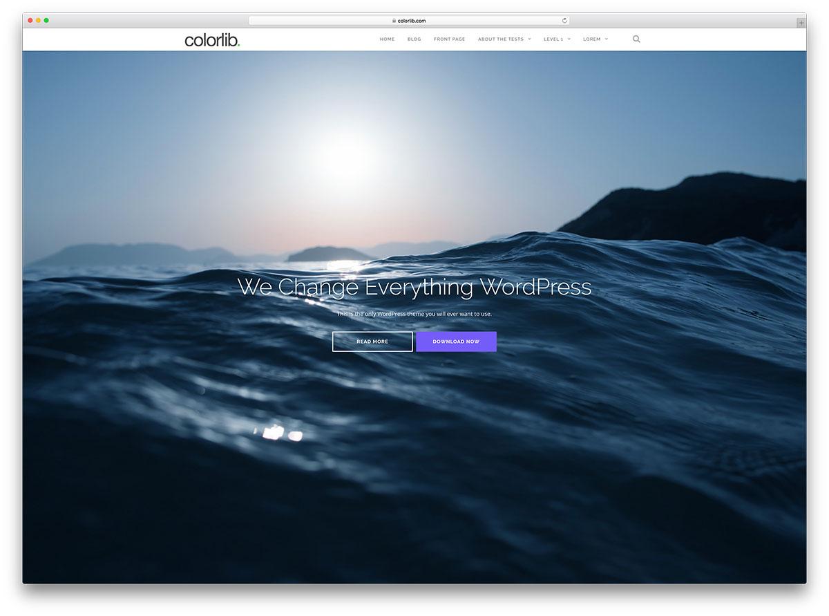 Free Themes Worth Considering​ for Budget-Conscious Creators
