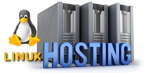 Linux vs Windows Hosting: Which Is Better for WordPress?