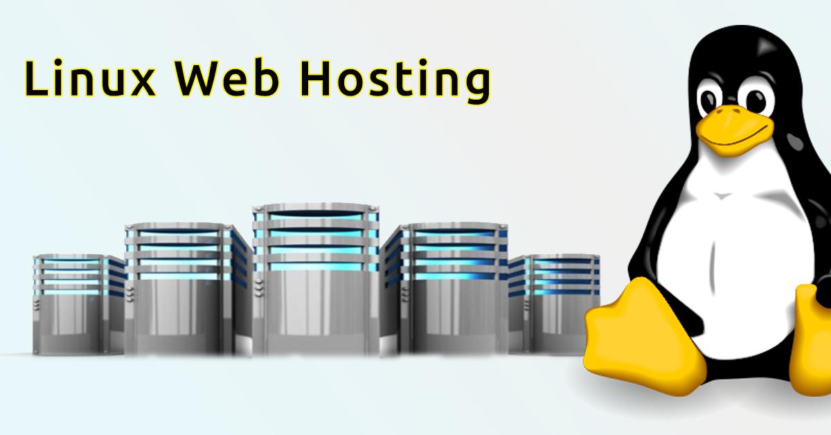 Understanding the Basics of linux and Windows Hosting