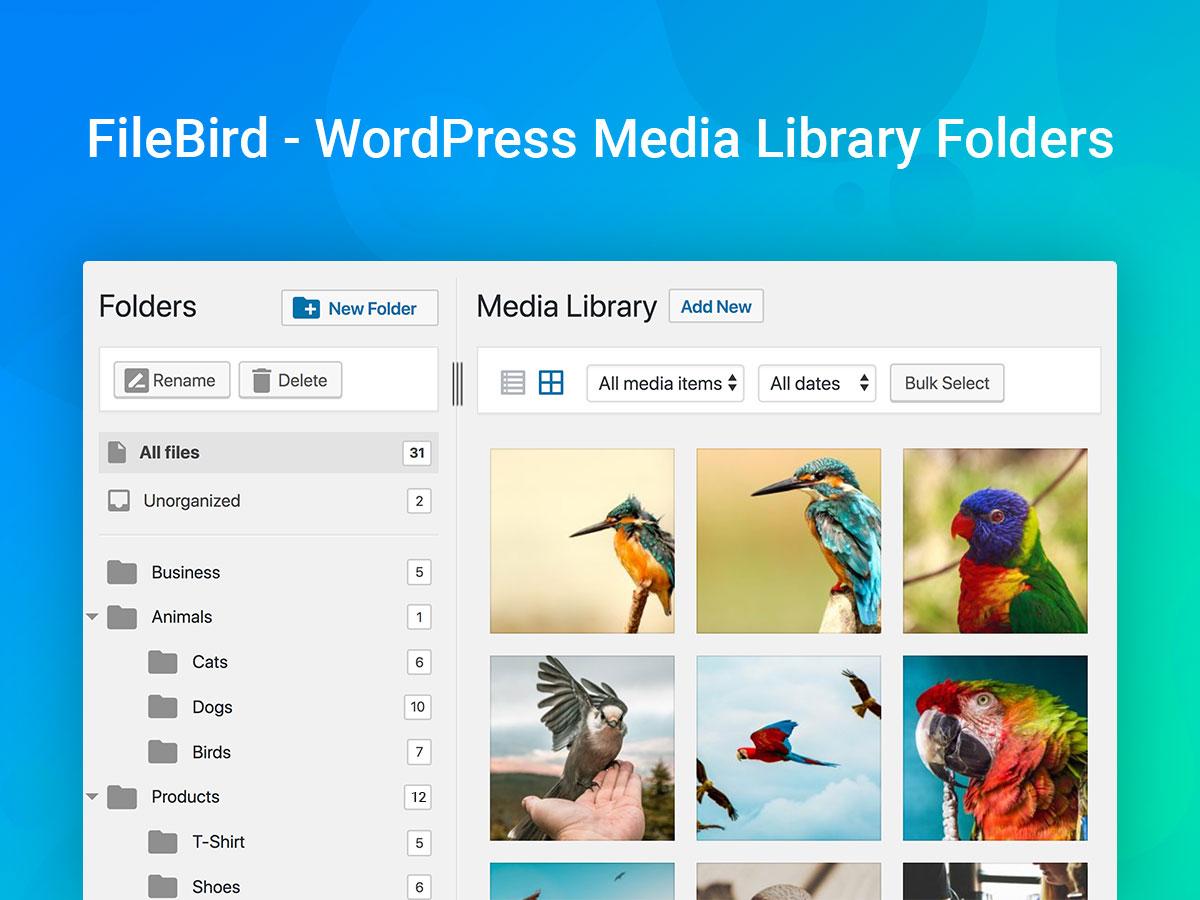 Final Thoughts: Choosing the Perfect Media Library Plugin for Your Needs
