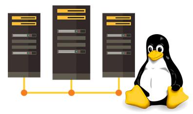 Ease of Use: Which Platform is More User-Friendly?