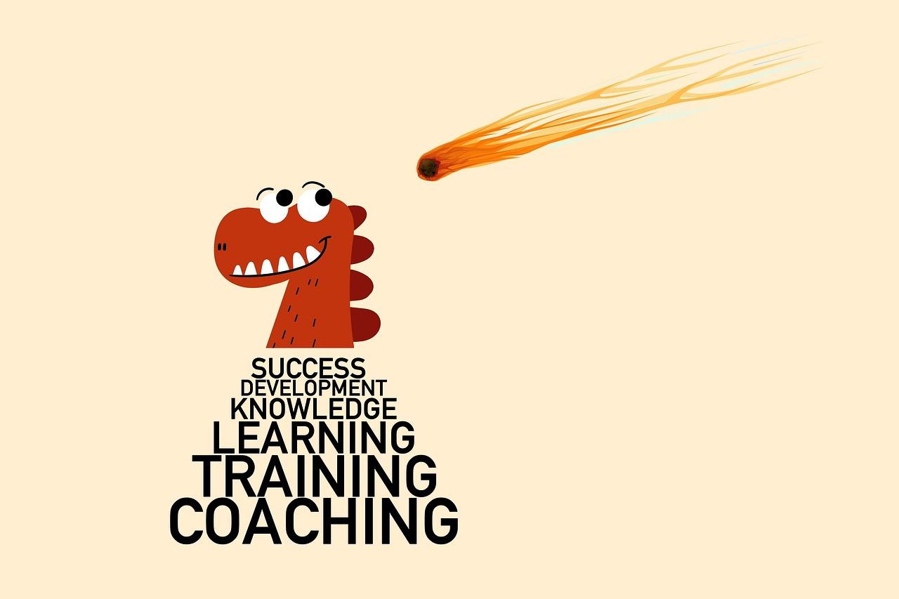 Success Stories: Learning from Top Sellers on Each Platform